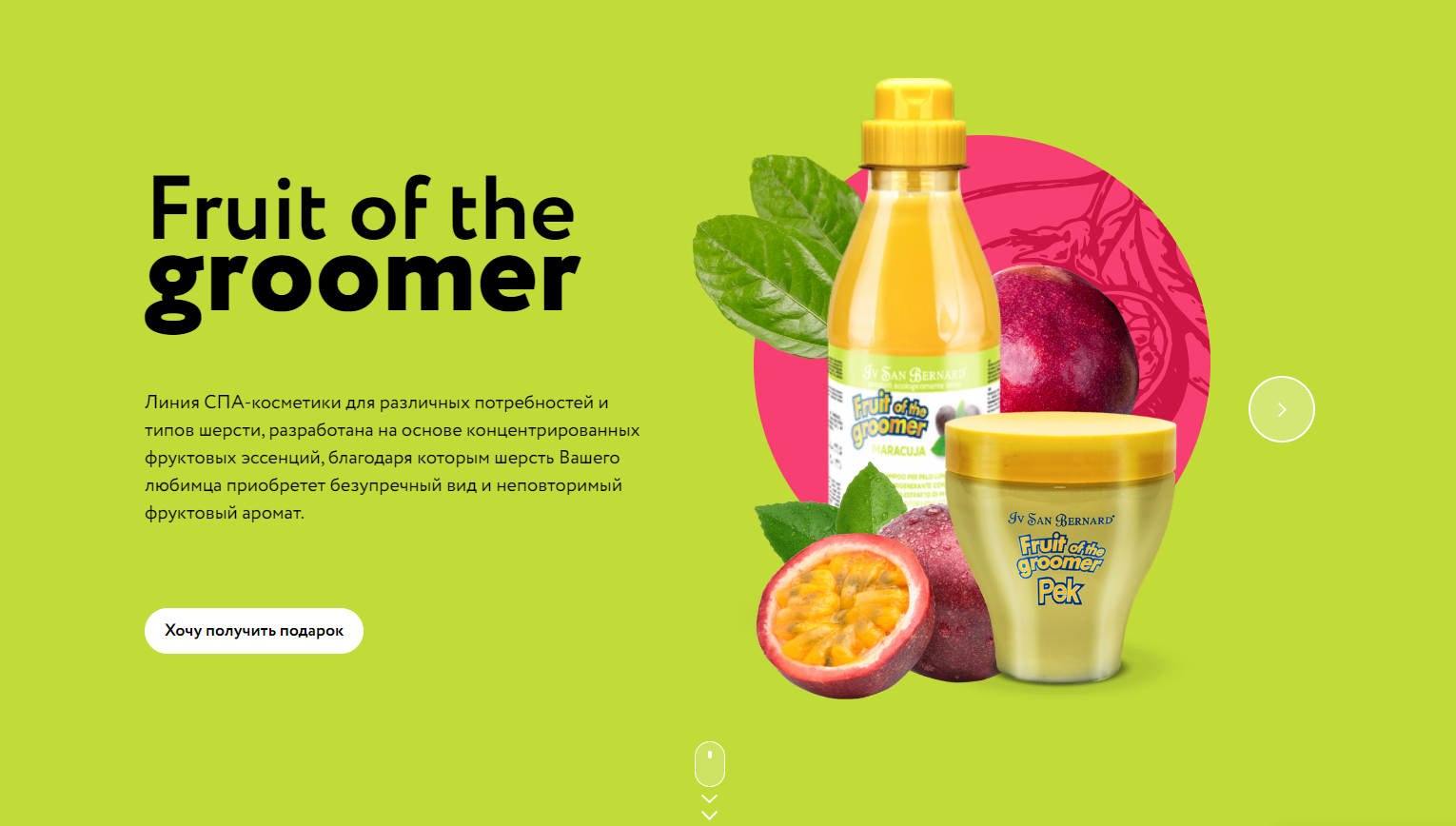 Промо-сайта для СПА-косметики для животных, разработанный в Serptop. Источник: http://fruit.isb.pet/