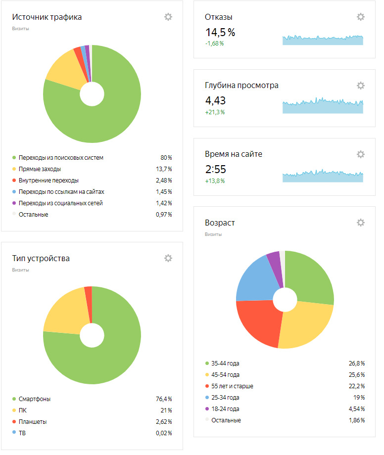 Главная страница на проекте в Яндекс.Метрике