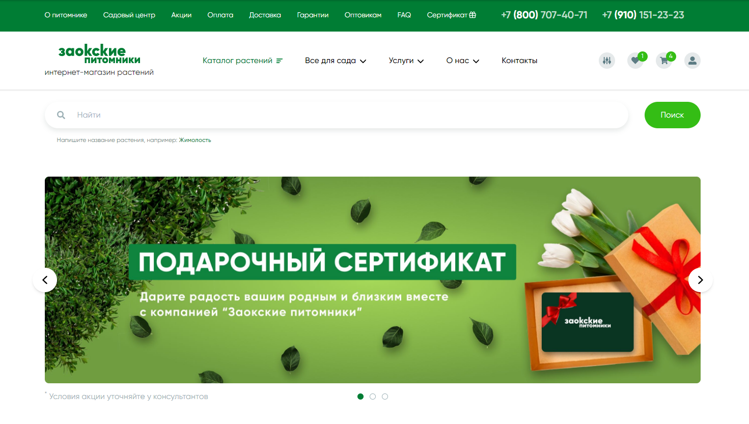 Пример баннера на главной странице