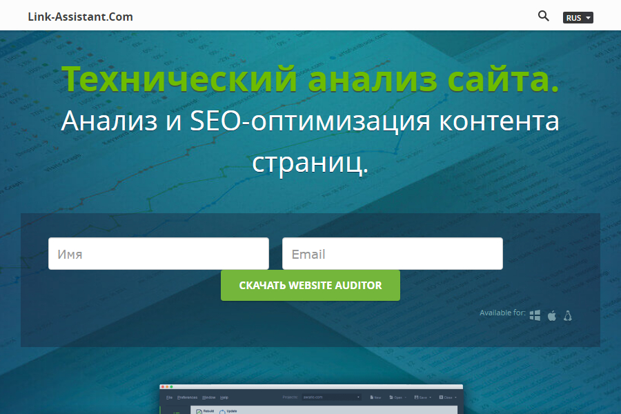 “Website Auditor”