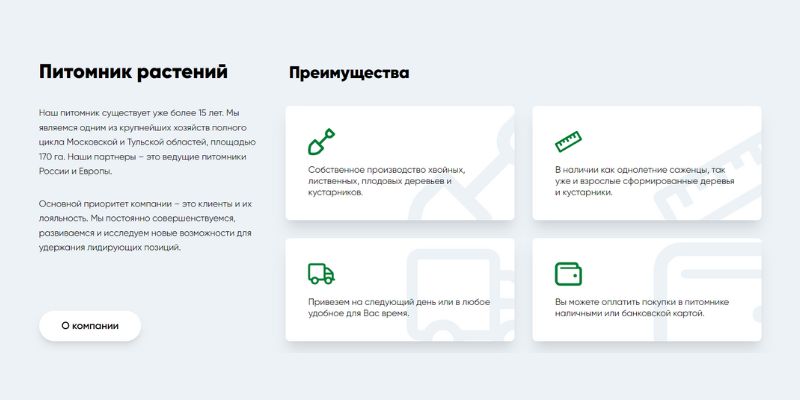 Пример преимуществ на сайте, разработанном в SerpTop
